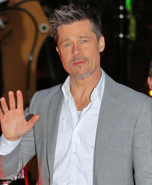 Brad Pitt cumple 55 años sin sus hijos