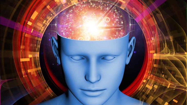En tu cerebro habita un reptil