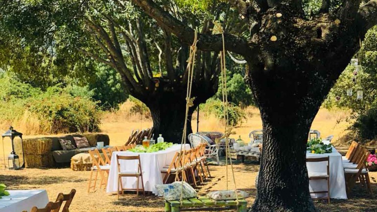 Consejos para organizar tu boda: Vestido de novia, chaqué, catering, invitaciones de boda y detalles que sorprenderán