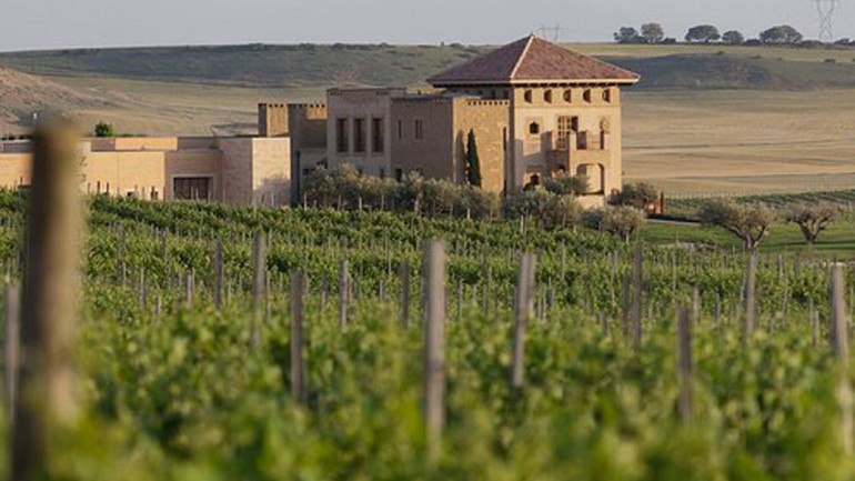 Cata maridaje con los vinos mejor puntuados de Masaveu Bodegas