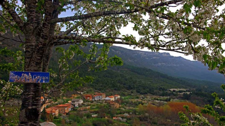 Descubre las raíces de Castilla