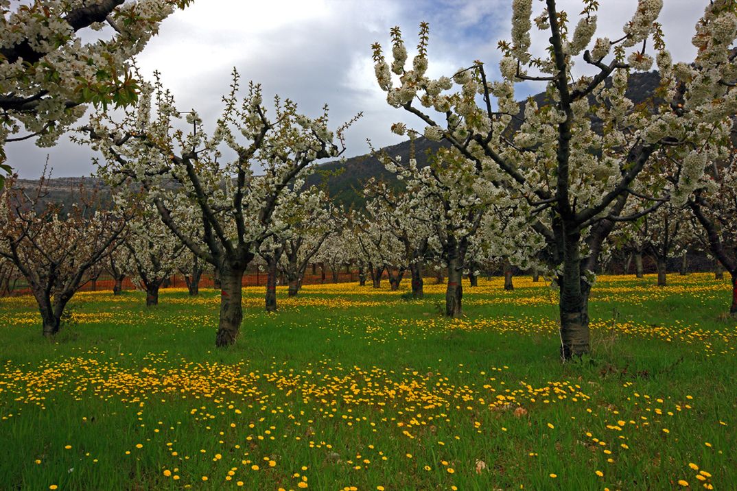 Valle de las Calderechas