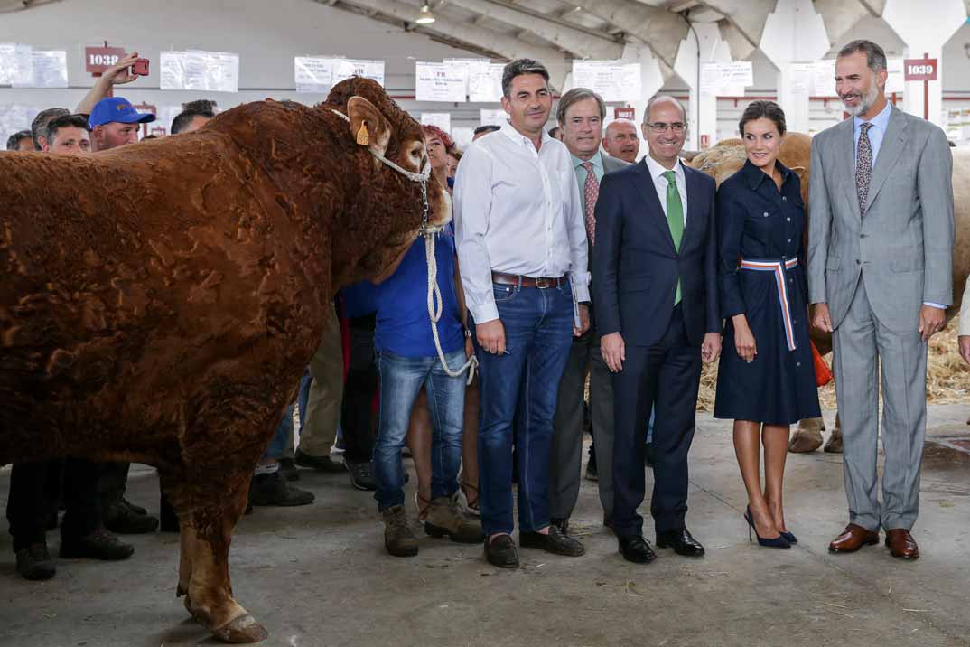 Los Reyes don Felipe y doña Letizia