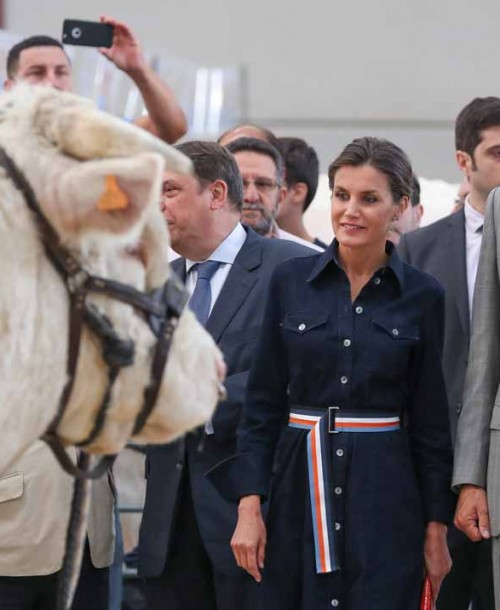 La reina Letizia retoma su agenda con el mismo look con el que la terminó