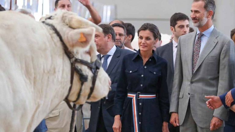 La reina Letizia retoma su agenda con el mismo look con el que la terminó