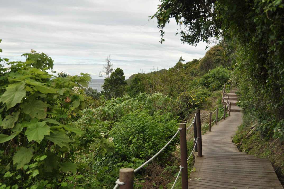 ruta-storms-river