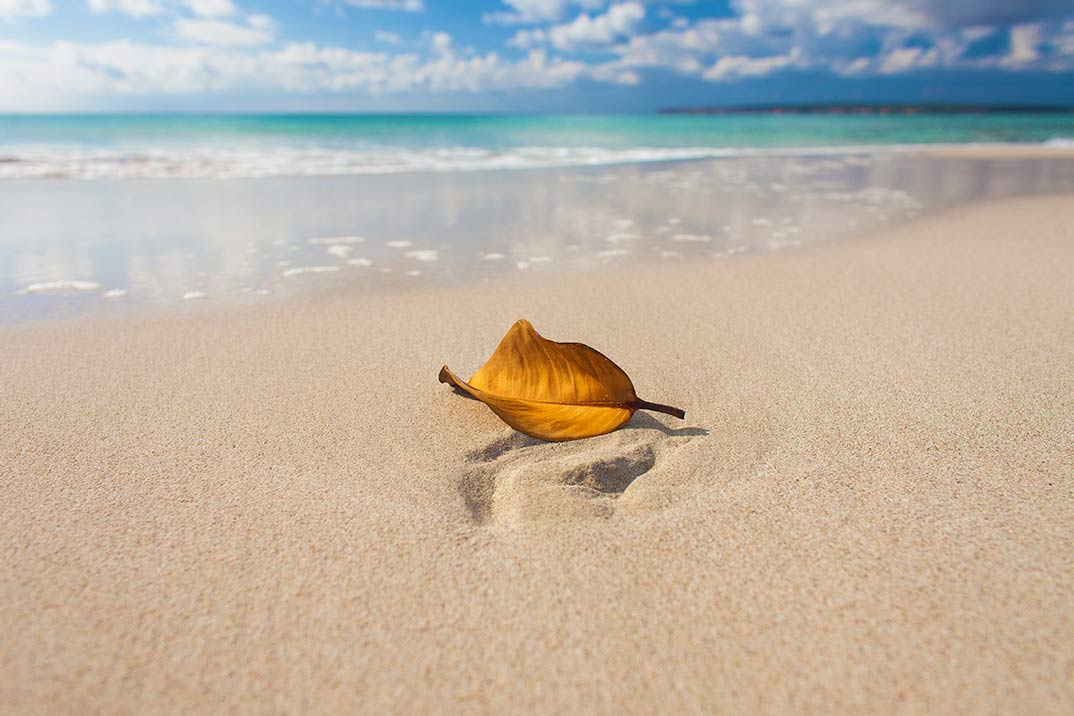 «Formentera Zen» llenará de inspiración la isla