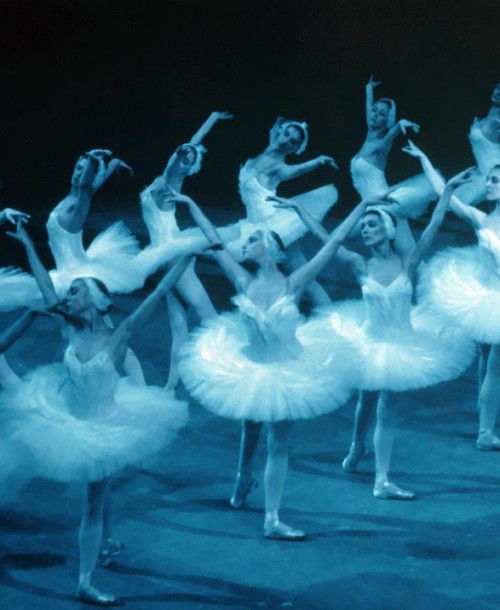 La magia de “El lago de los Cisnes” llega al Teatro Nuevo Apolo