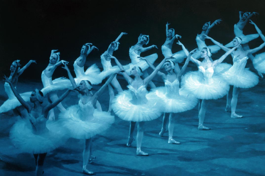 La magia de «El lago de los Cisnes» llega al Teatro Nuevo Apolo