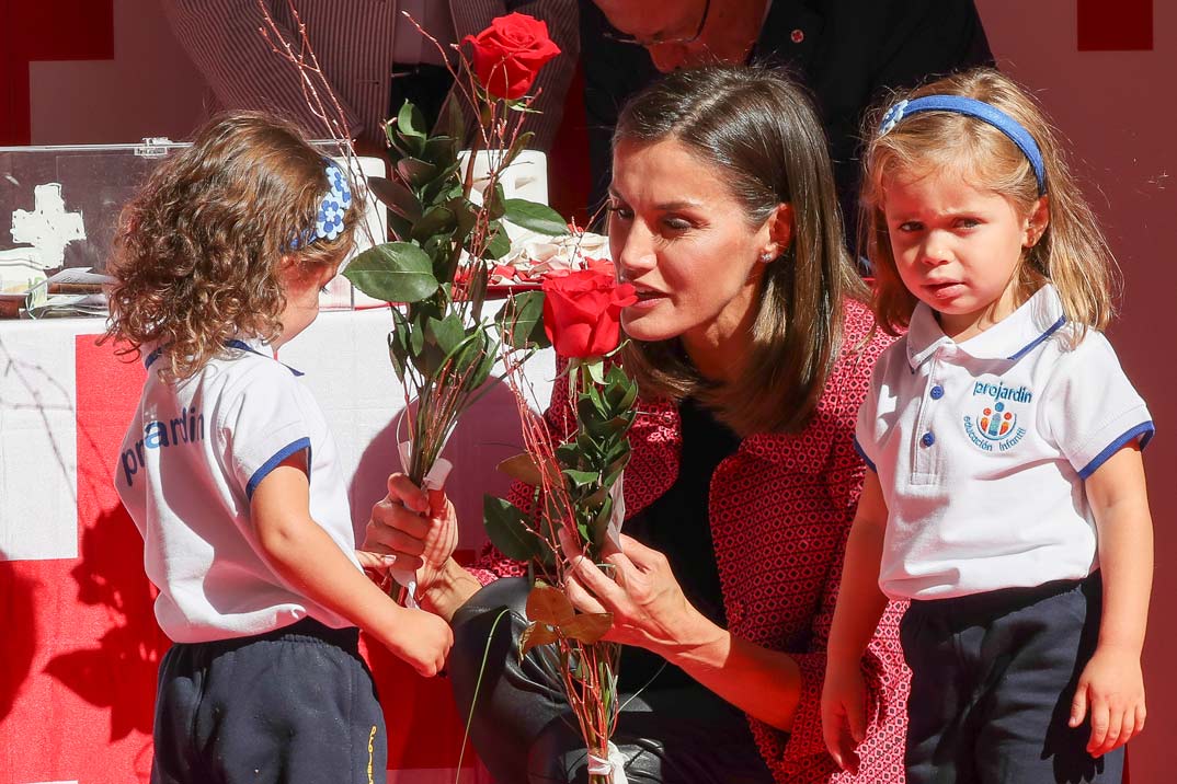 La reina Letizia en el tradional «Día de la Banderita» de la Cruz Roja