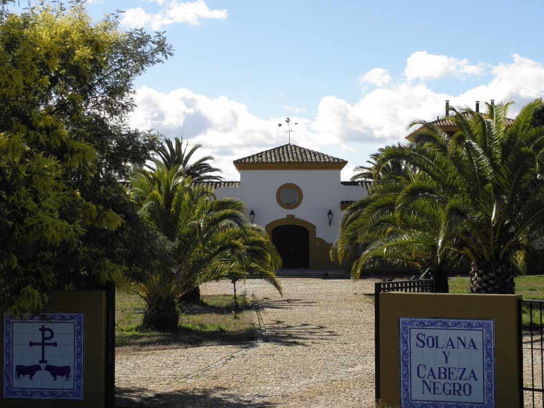 entrada-cortijo