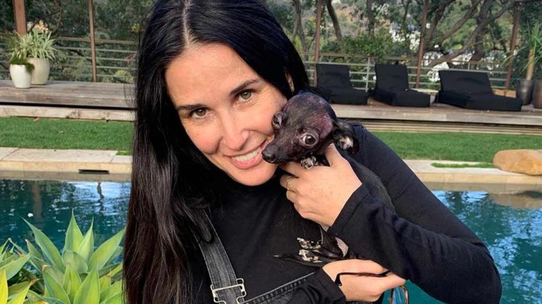 El nuevo amor de Demi Moore que te sorprenderá
