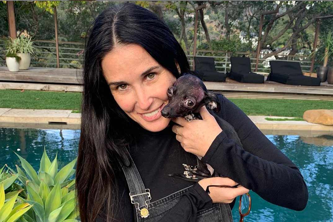 El nuevo amor de Demi Moore que te sorprenderá