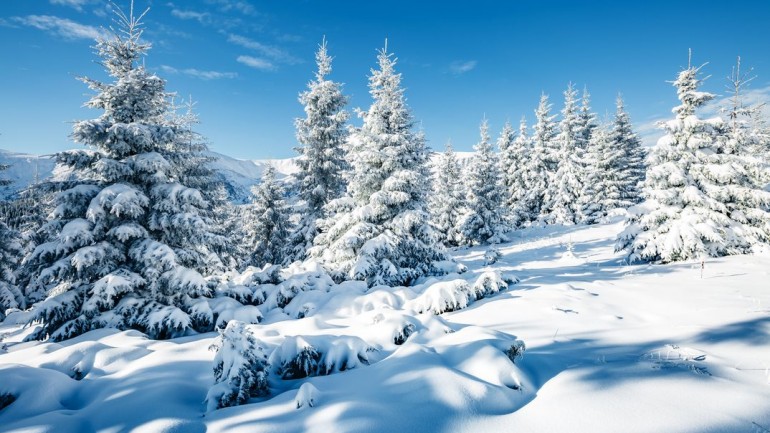 Cinco actividades para huir del «Blue Monday»