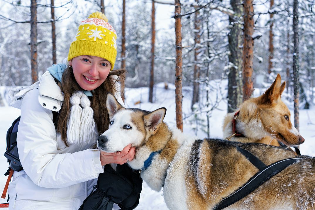 Visita a un criadero de perros husky