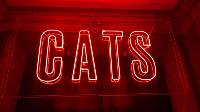 Ha vuelto Cats, El “Party Hostel”
