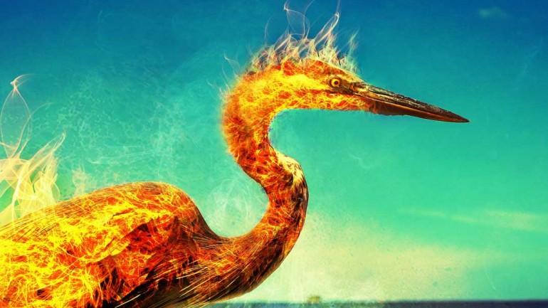 La resiliencia: Cómo resurgir como el Ave Fénix