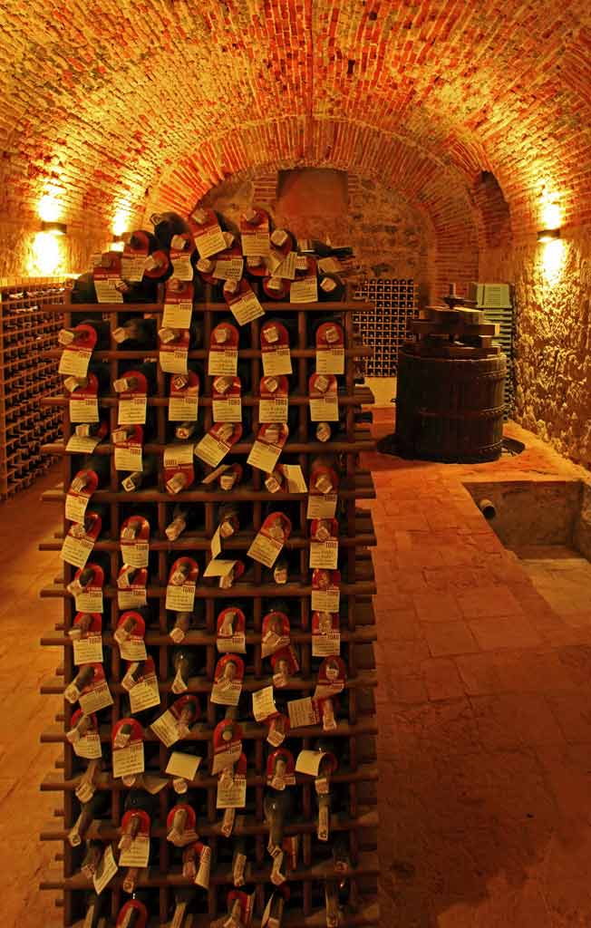 Toro-Bodega-del-Palacio-de-los-Condes-Requena