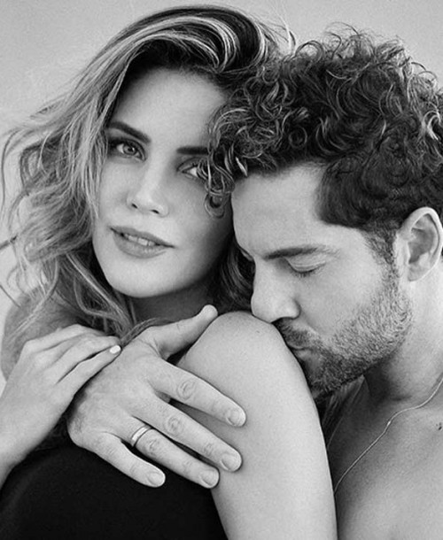 David Bisbal y Rosanna Zanetti ya son papás