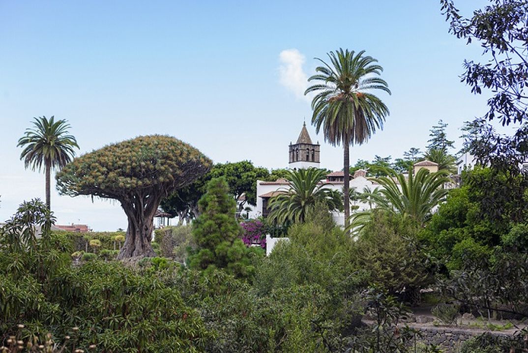 Icod de los Vinos- Turismo de Tenerife