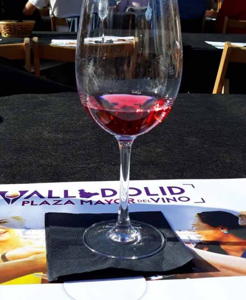 Plaza Mayor de Valladolid centro y corazón del vino