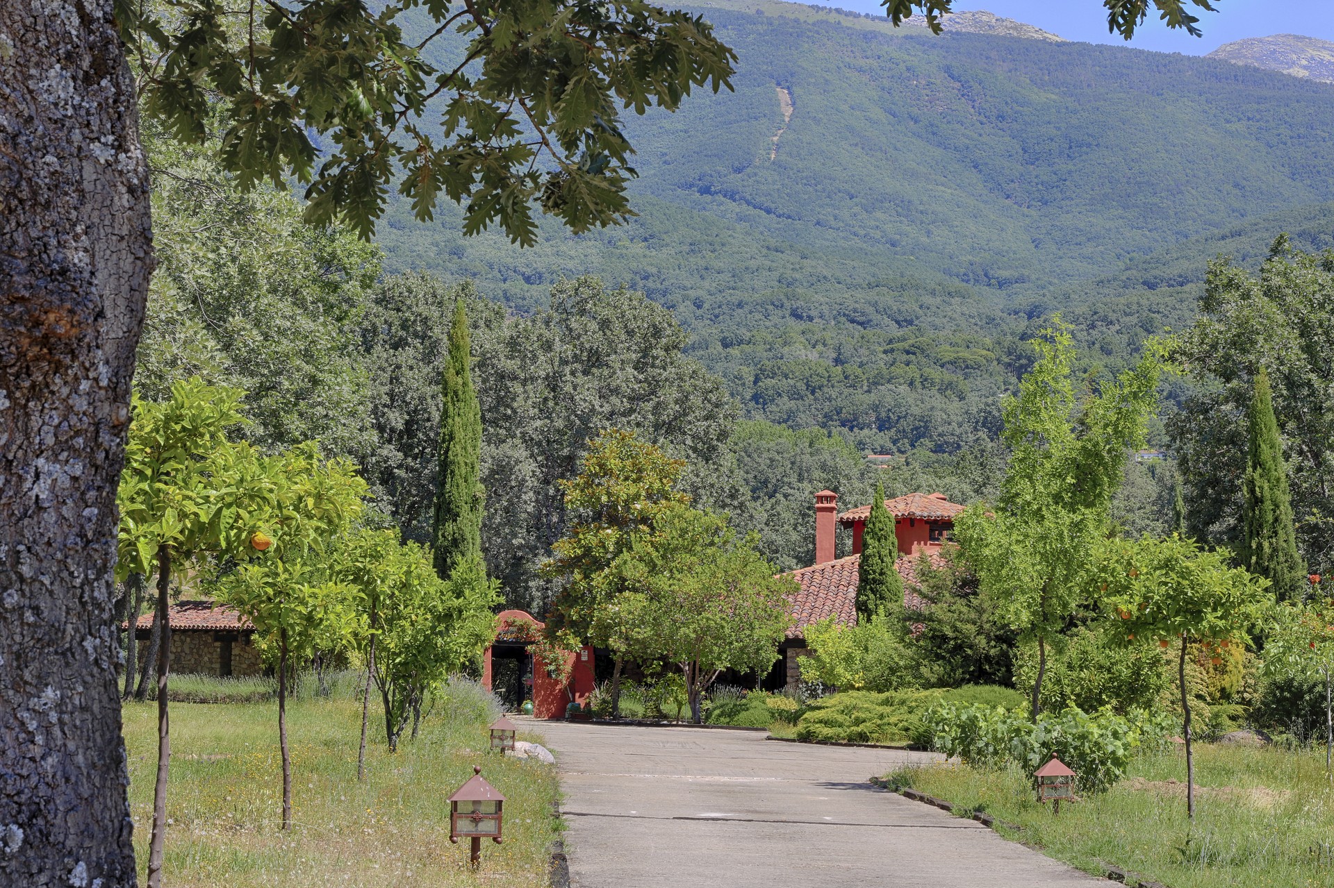 alfayales paisaje