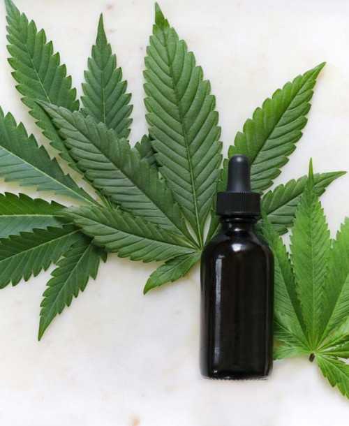 Cómo cuidar tu cabello y tu cuerpo con Cannabis