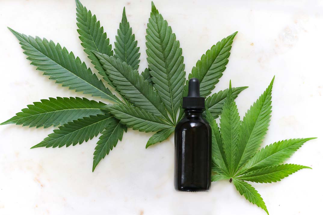 Cómo cuidar tu cabello y tu cuerpo con Cannabis