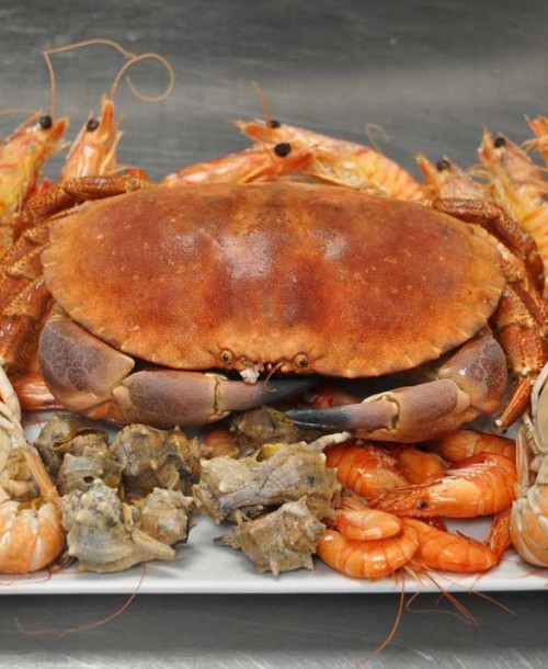 Círculo Marisquería – Los mejores productos del mar sin salir del «barrio»