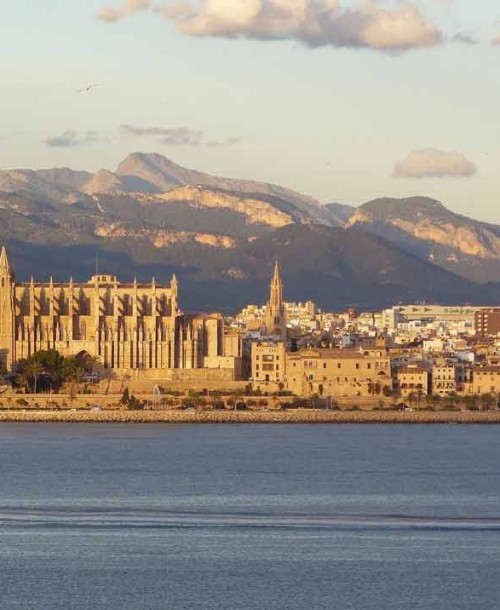 Palma de Mallorca, shopping y actividades de lujo