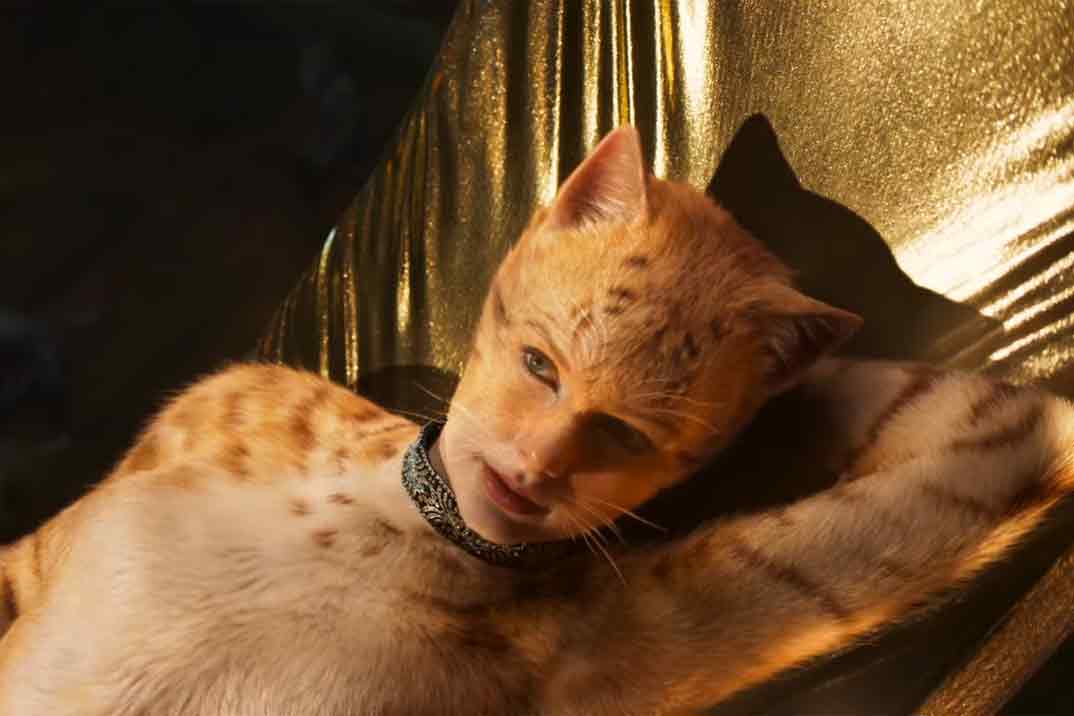 trailer-cats