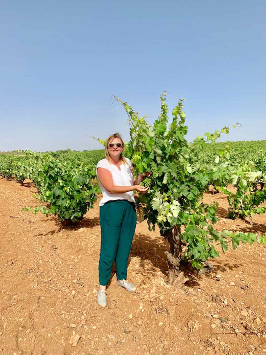 bodegas-jeromin-barbireando