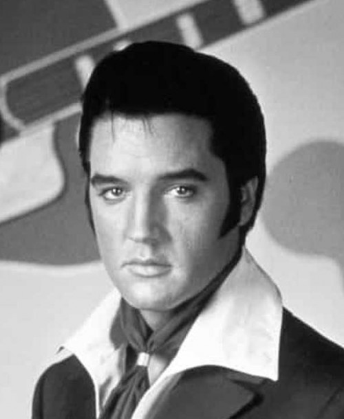 Agent King: la serie animada de Netflix con Elvis Presley como agente secreto