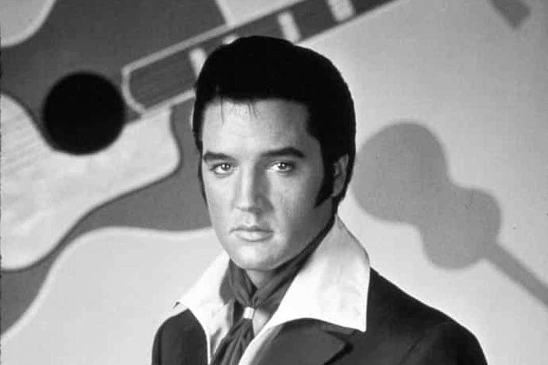 Agent King: la serie animada de Netflix con Elvis Presley como agente secreto