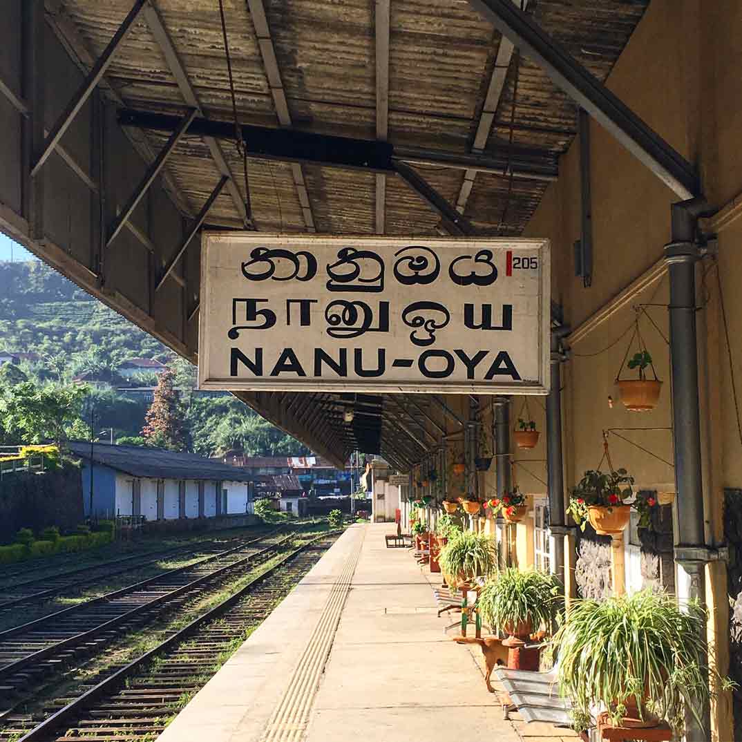 sri-lanka-nanu-oya-tren-ella