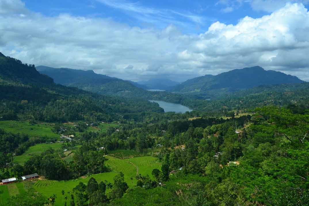 sri-lanka-nuwara-eliya-a-ella-plantaciones
