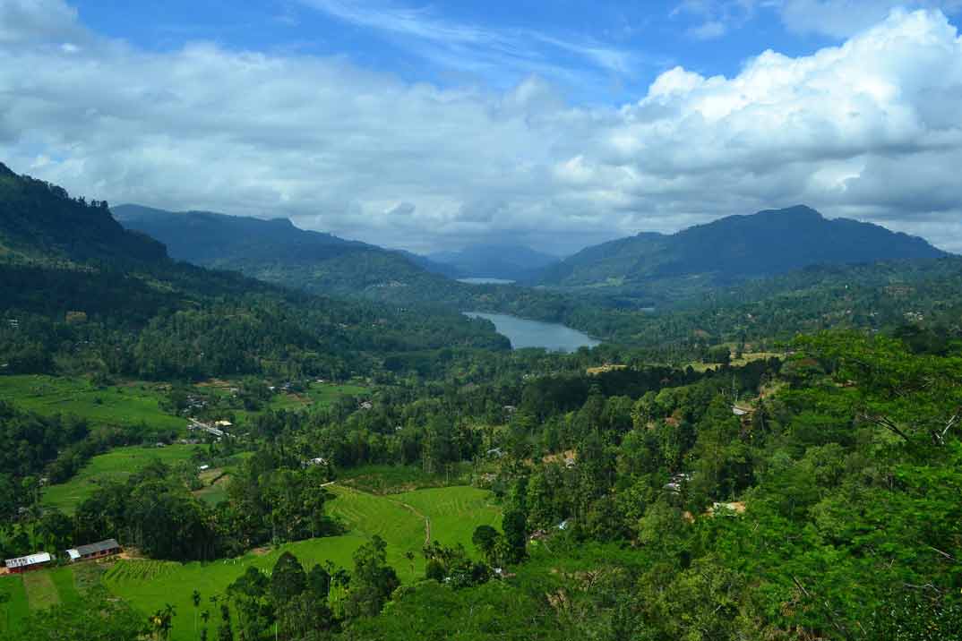 sri-lanka-nuwara-eliya-a-ella-plantaciones