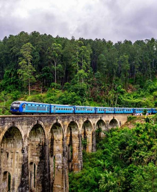 Lo mejor de Sri Lanka: tren Nuwara Eliya a Ella