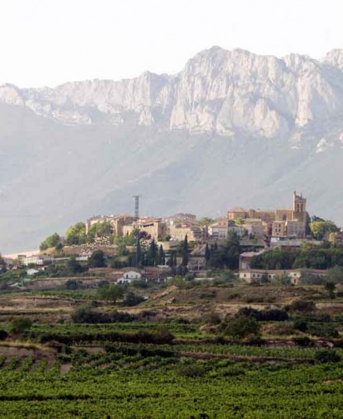 Escapada a la Rioja Alavesa: tratamientos con denominación de origen