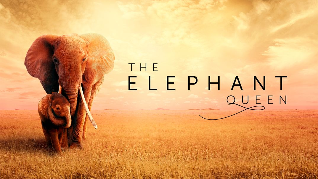 The Elephant Queen © Apple TV +