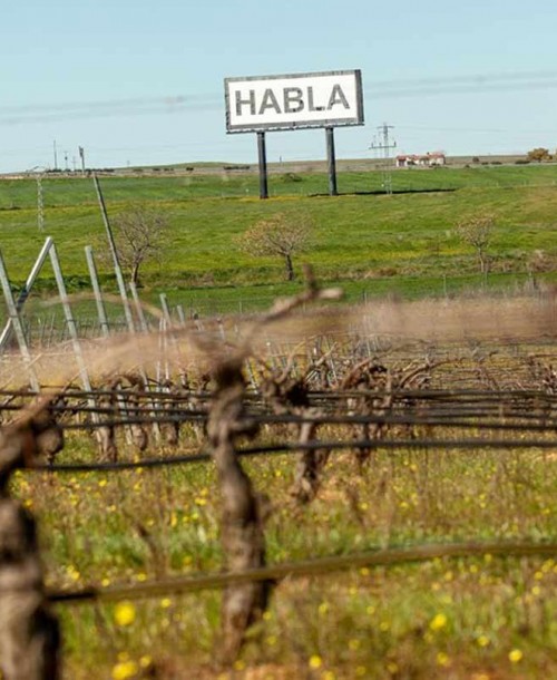 Bodegas Habla lanza “Habla 22” su nuevo vino Edición Limitada