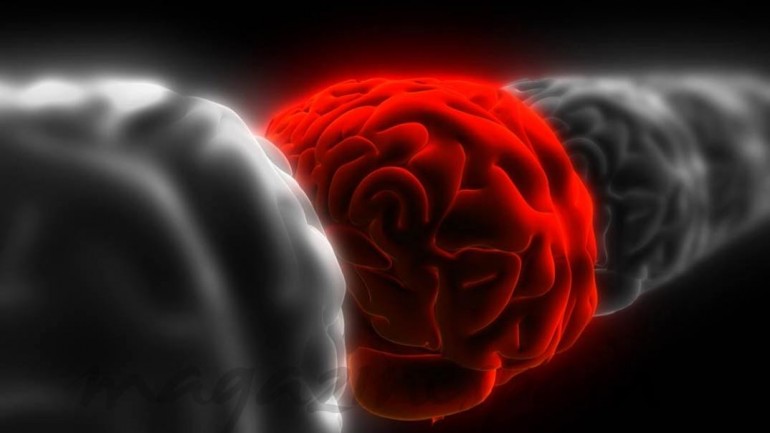 Cómo mantener tu cerebro en forma