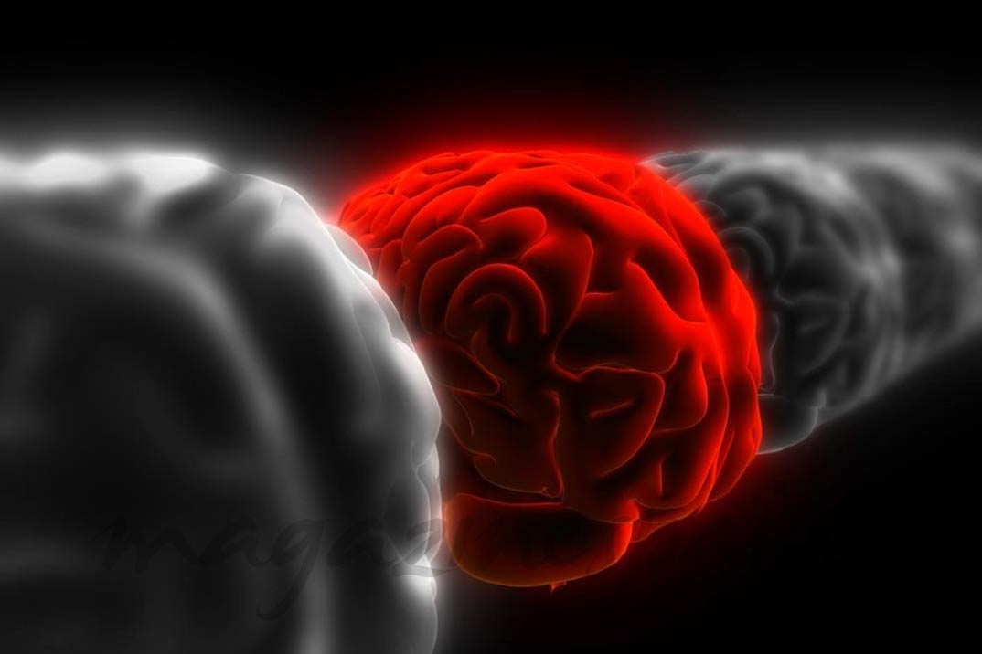 Cómo mantener tu cerebro en forma