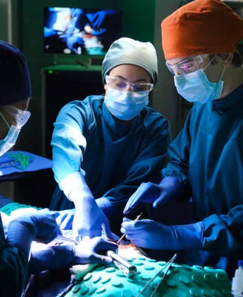 «The Good Doctor» Temporada 3 – Capítulo 7: SFAD