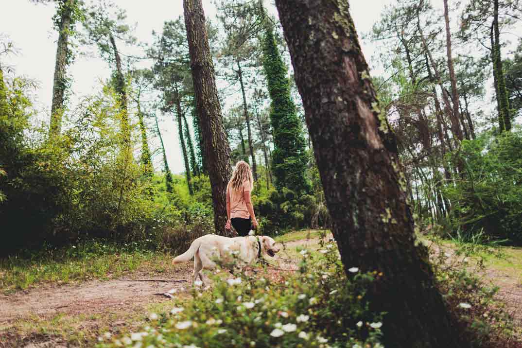 hendaya-anglet-paseo-perro