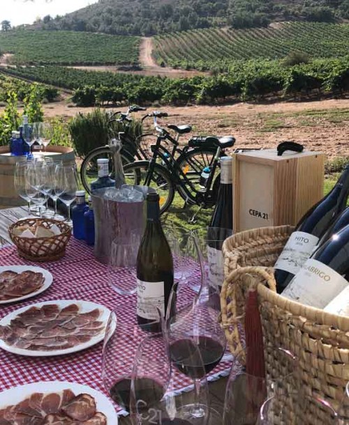 Las mejores experiencias de enoturismo en plena naturaleza en Ribera del Duero