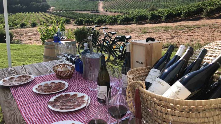 Las mejores experiencias de enoturismo en plena naturaleza en Ribera del Duero