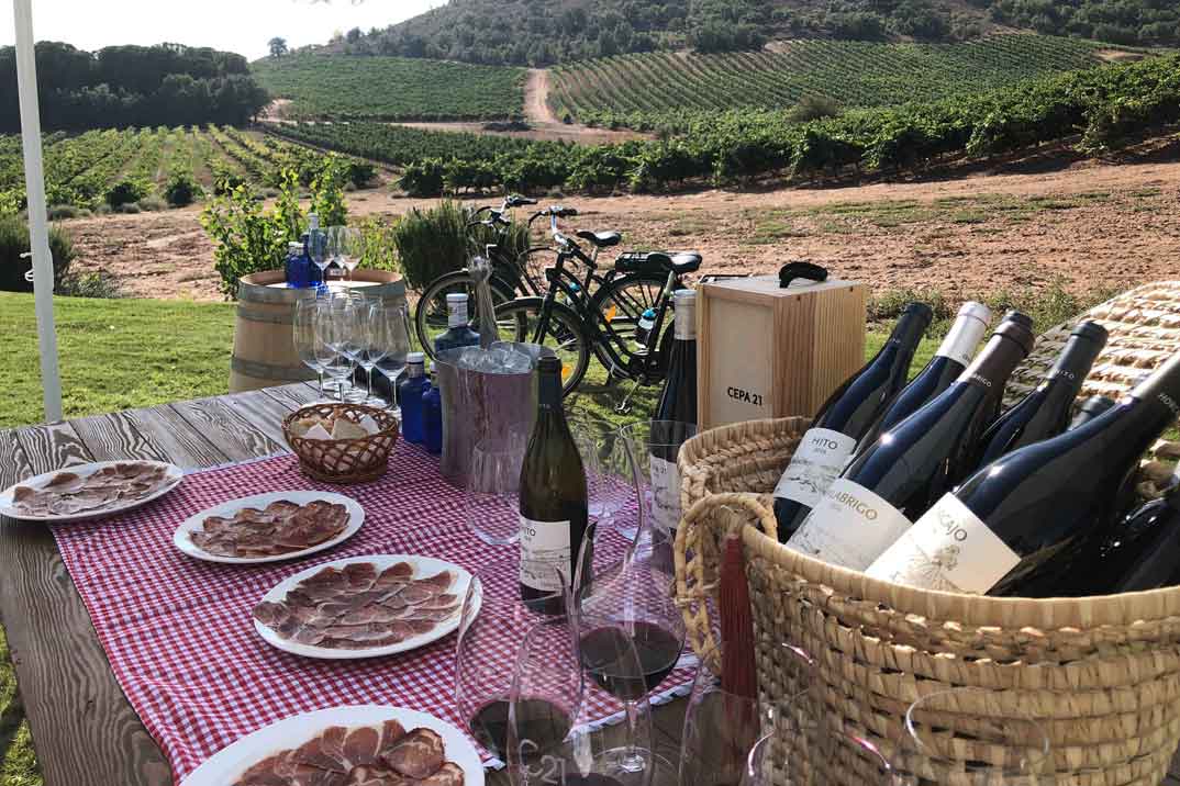 Las mejores experiencias de enoturismo en plena naturaleza en Ribera del Duero