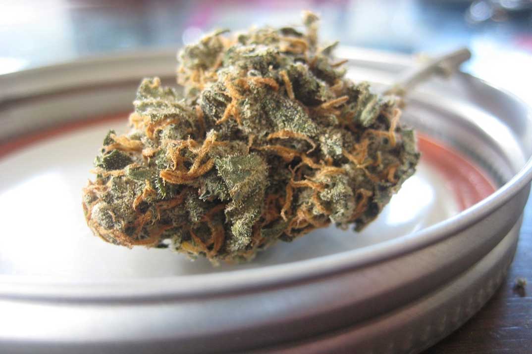flor-de-cannabis