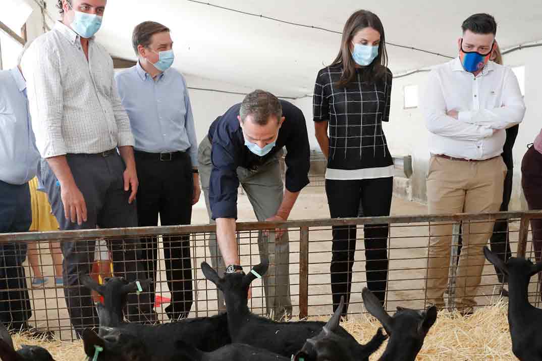 El look deportivo de la reina Letizia para visitar una granja